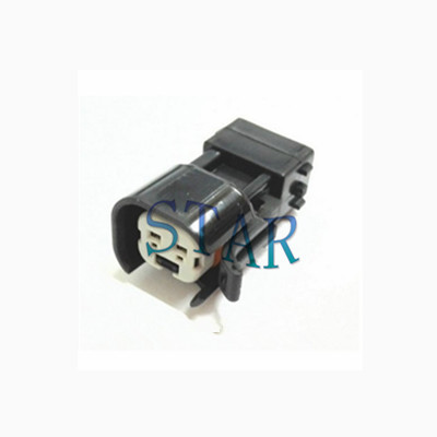 Tyco EV6 2 pin connector 